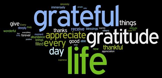 Our deepest gratitude to our customers on this Thanksgiving day