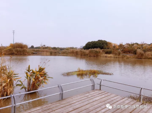 waterfront of Xi Jin Ferry.png